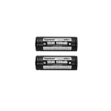 Accu t.b.v. speedE, 2 stuks