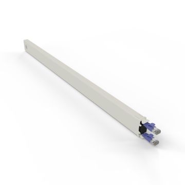 patchbox.one / Cassette / 30HE / STP / Violet