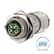 MMF881A315-DNV1_1.png