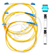 R157053_1.png