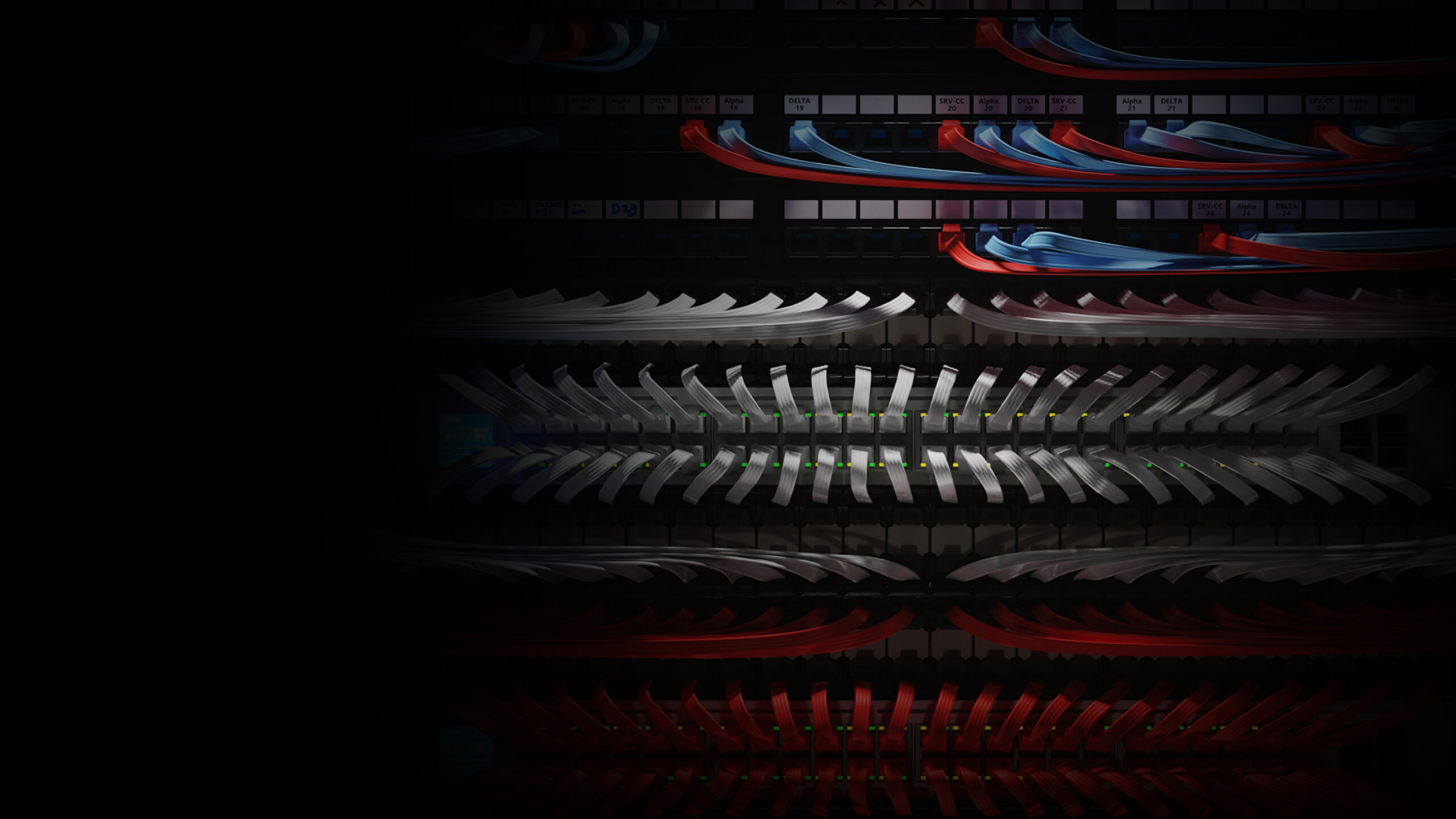 Efficiënt en snel: Hoe je jouw patchkast in één dag opruimt met PATCHBOX